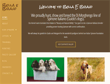 Tablet Screenshot of bellaspinone.com